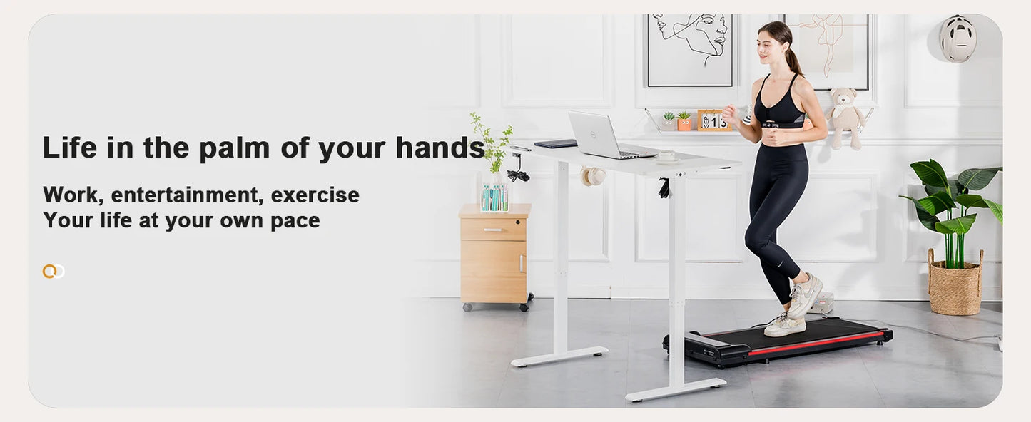 Elektrischer Höhenverstellbarer Stehschreibtisch 160 cm – Ergonomischer Schreibtisch mit USB & Memory-Funktion