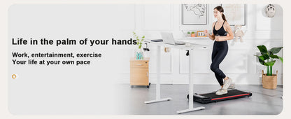 Elektrischer Höhenverstellbarer Stehschreibtisch 160 cm – Ergonomischer Schreibtisch mit USB & Memory-Funktion
