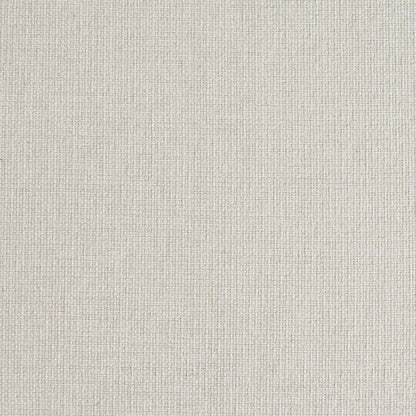 Esszimmerstuhl Beige-Grün – Modernes Polsterstuhl Set mit Samtbezug, Katzenkratzfestes Leder & Goldbeinen bis 150kg