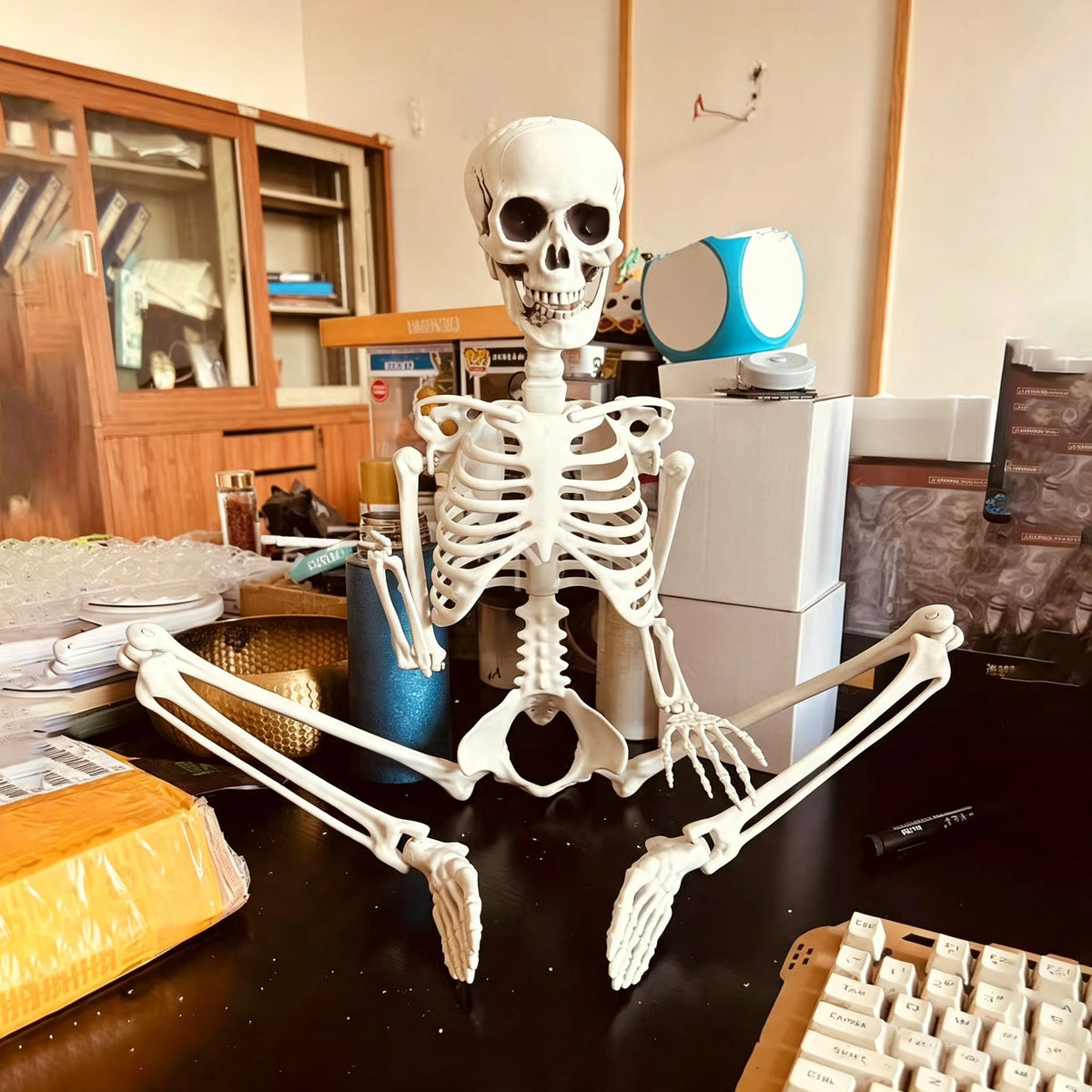 Skelett 90cm Halloween Dekoration – Realistisches Kunststoff Human Skeleton für Horror Party