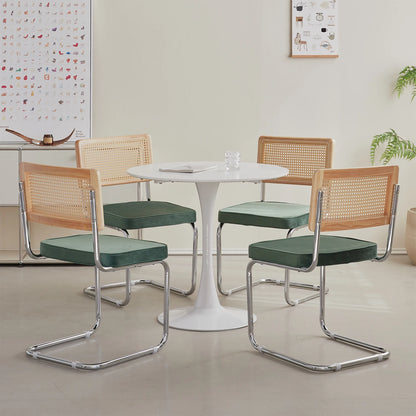 Freischwinger 2er Set Modern – Polsterstuhl Set aus Teddy-Samt & Rattan-Rueckenlehne mit Metallgestell