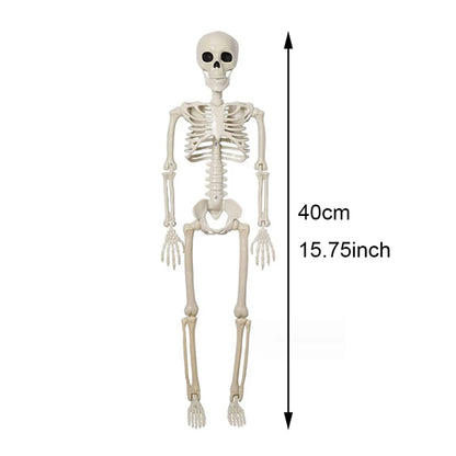 Skelett 90cm Halloween Dekoration – Realistisches Kunststoff Human Skeleton für Horror Party