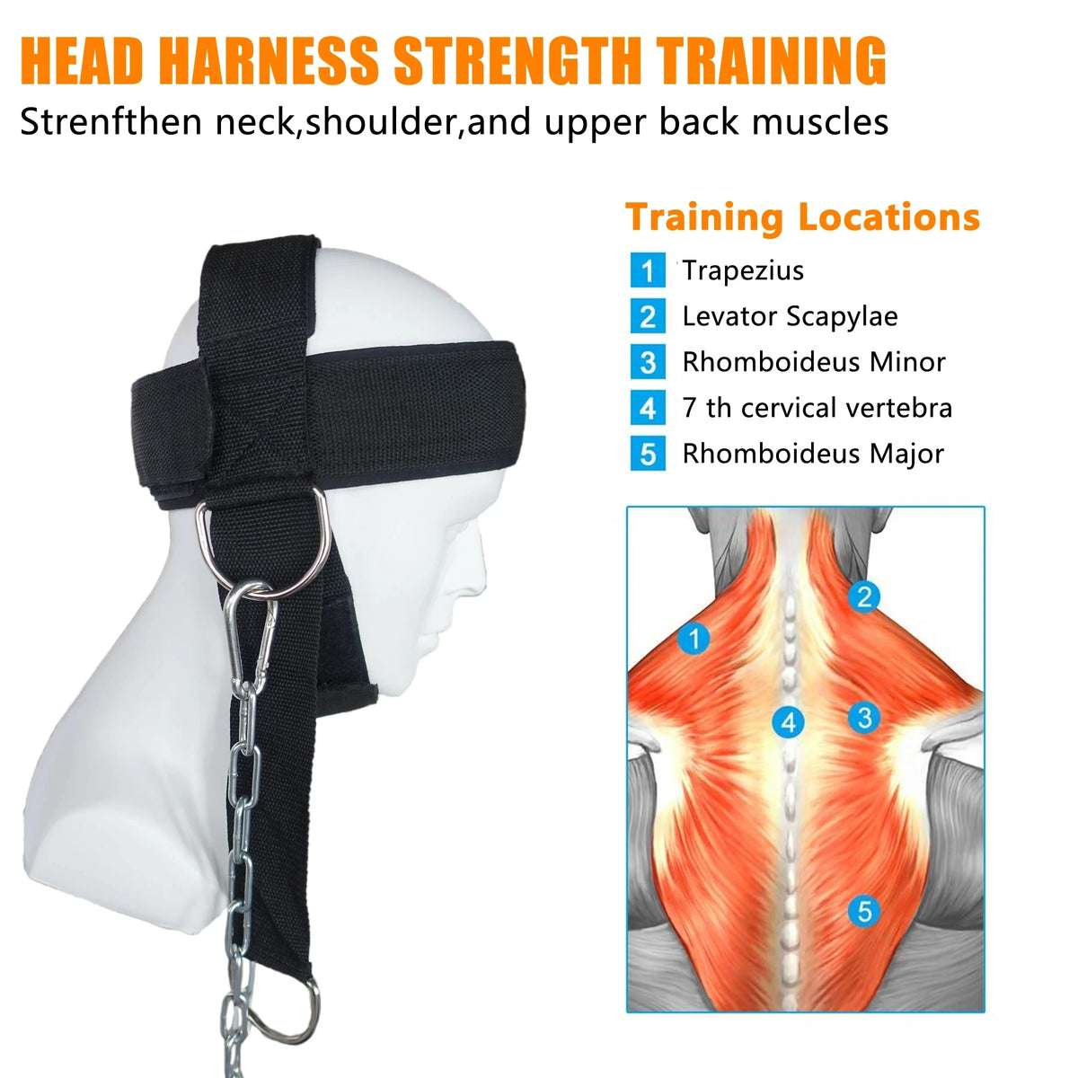 Nackentrainer Kopfgeschirr mit Stahlkette – Robuster Neck Trainer für Krafttraining & MMA