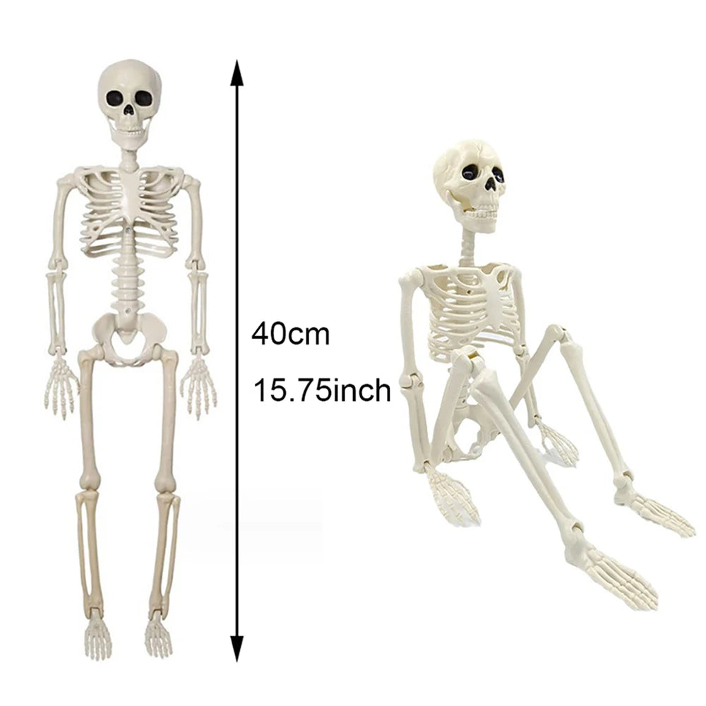 Skelett 90cm Halloween Dekoration – Realistisches Kunststoff Human Skeleton für Horror Party