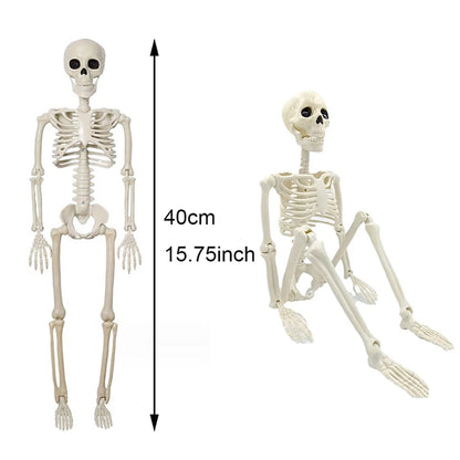 Skelett 90cm Halloween Dekoration – Realistisches Kunststoff Human Skeleton für Horror Party