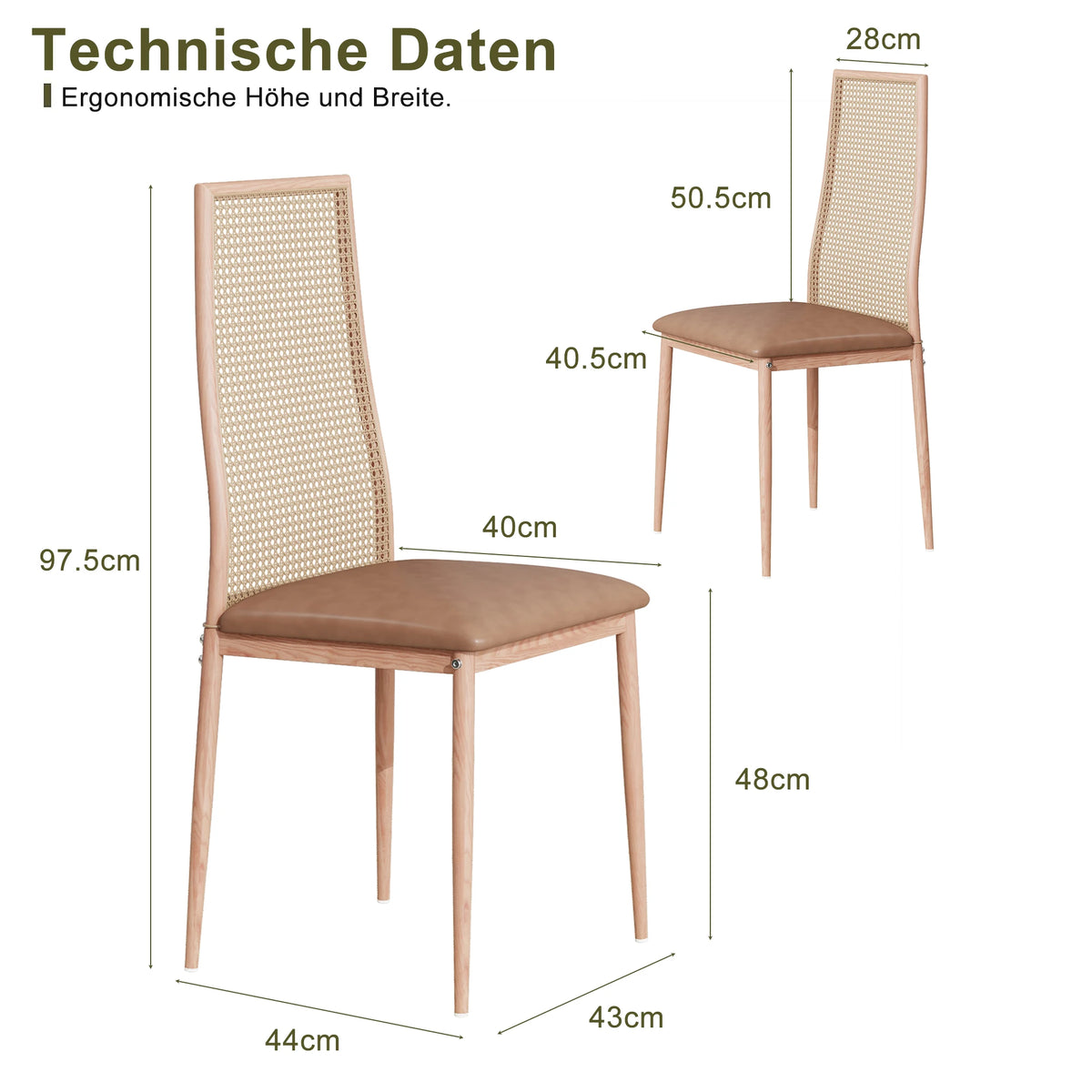 Esszimmerstuhl 2er Set Rattan – Modernes Polsterstuhl Set im Landhausstil mit Metallbeinen bis 150kg