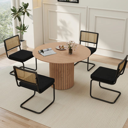 Freischwinger Esszimmerstühle 2er Set Rattan Samt – Moderne Küchenstühle mit Metallgestell