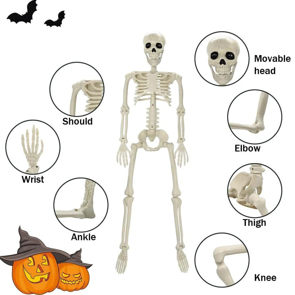 Skelett 90cm Halloween Dekoration – Realistisches Kunststoff Human Skeleton für Horror Party